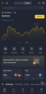 Binance web3 wallet