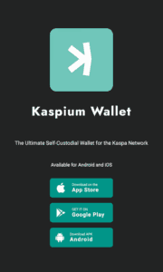Kaspium Wallet - one of the best Kaspa wallet options