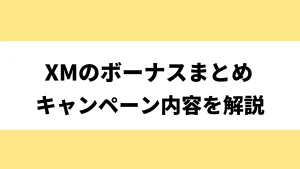 XMのボーナスまとめ！受け取り方から活用方法まで解説【2025年最新】